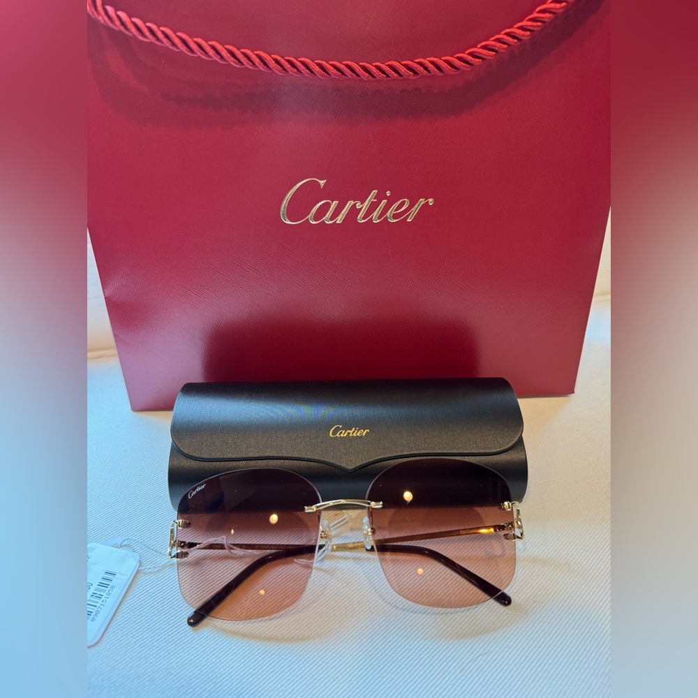 Cartier Sunglasses with Gradient Lenses